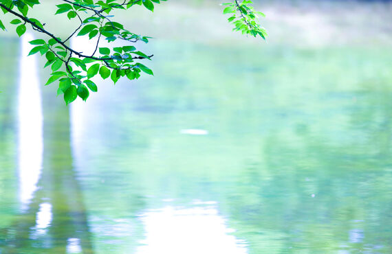 伊勢崎市の就労支援事業所で規律を学ぶ/株式会社ワークミモザ